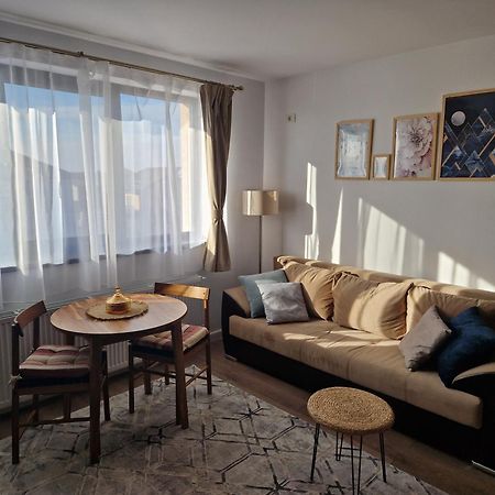 Craitelor Boutique Airport Apartment Otopeni Exterior photo
